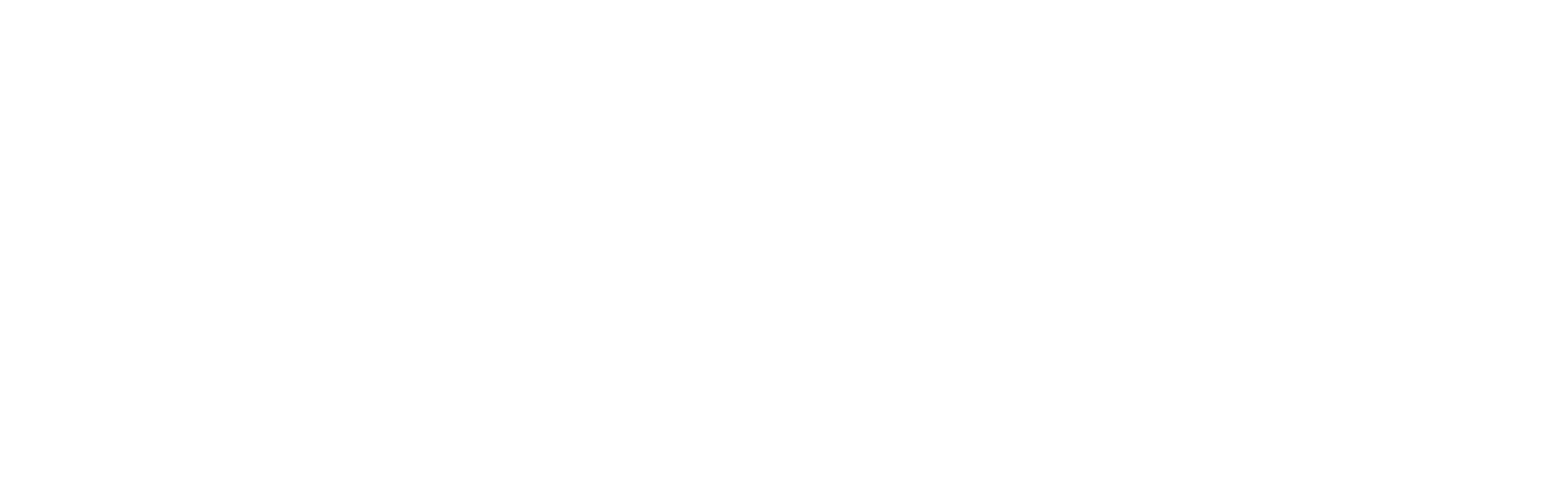 smarketeer consulting